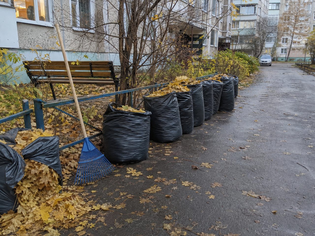 Что делать с опавшими листьями, если жечь их нельзя